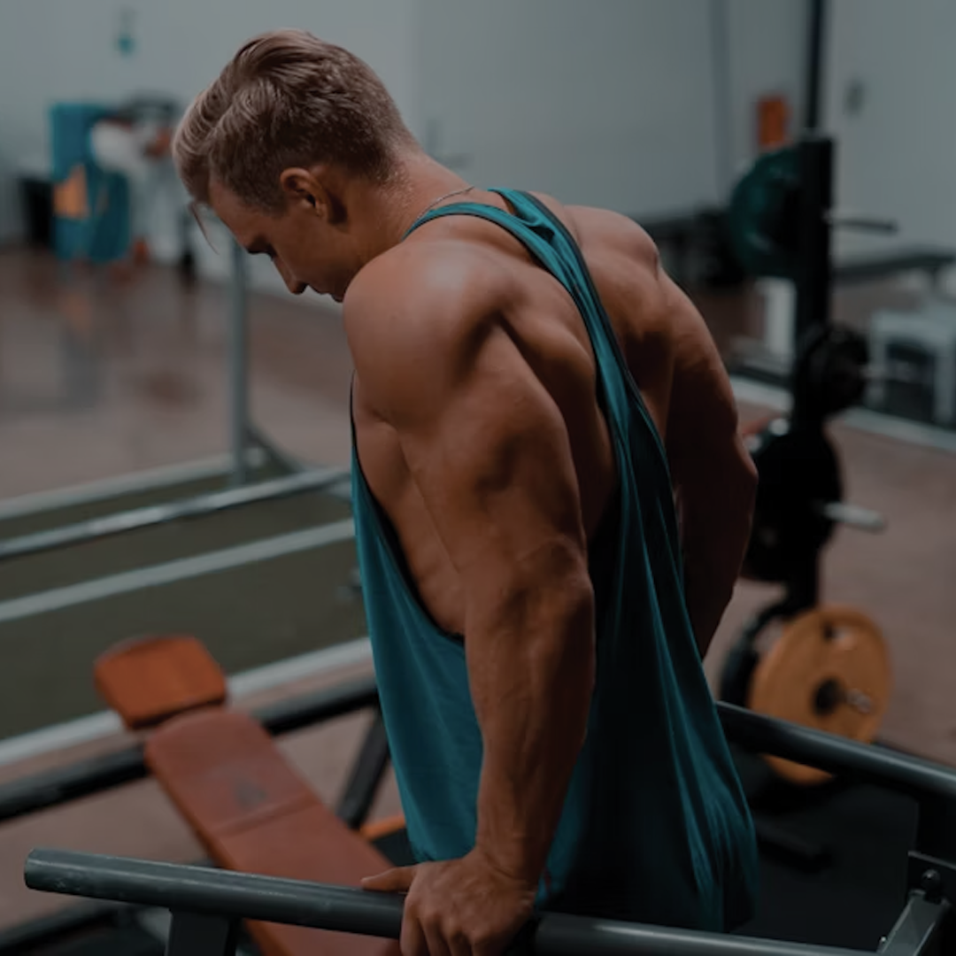 Masa muscular y energía